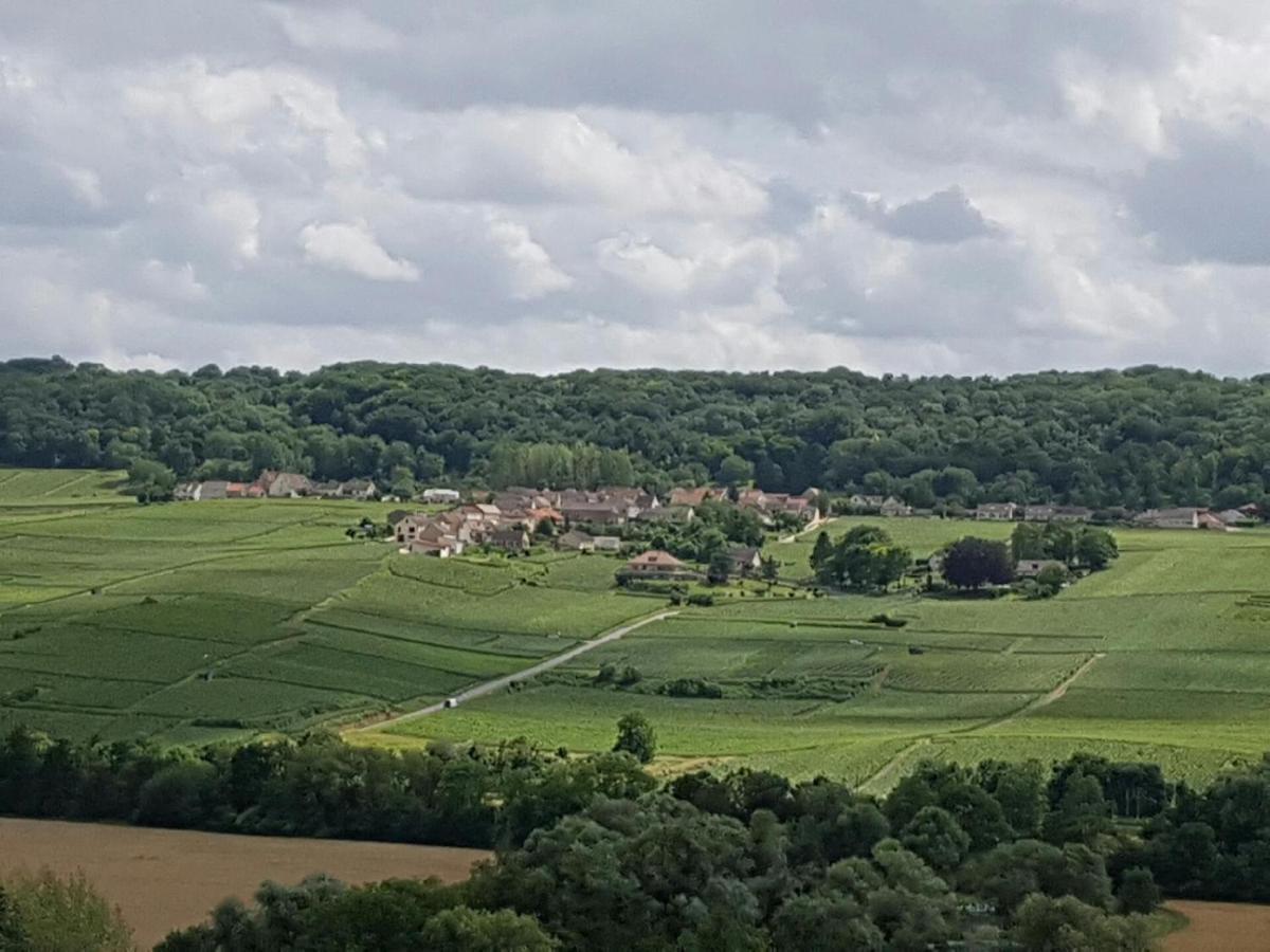 Le Domaine De L Etang Le Merger Oeuilly Kültér fotó